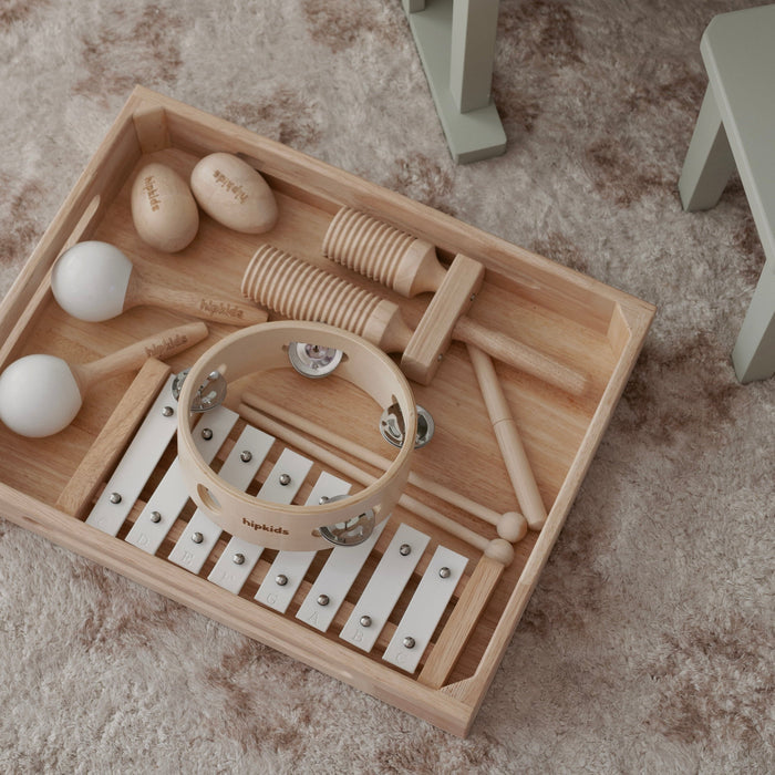Musical Toy Bundle
