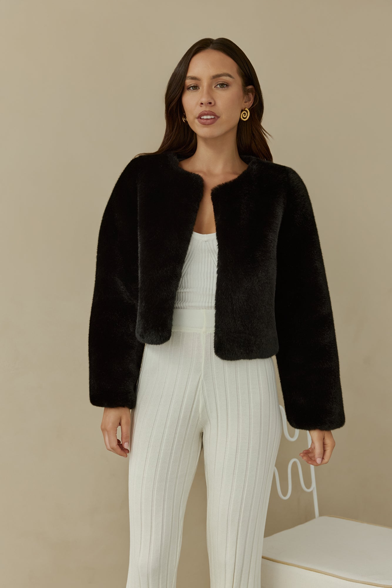 Day By Day Faux Fur Cropped Jacket Black