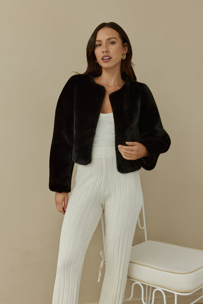 Day By Day Faux Fur Cropped Jacket Black