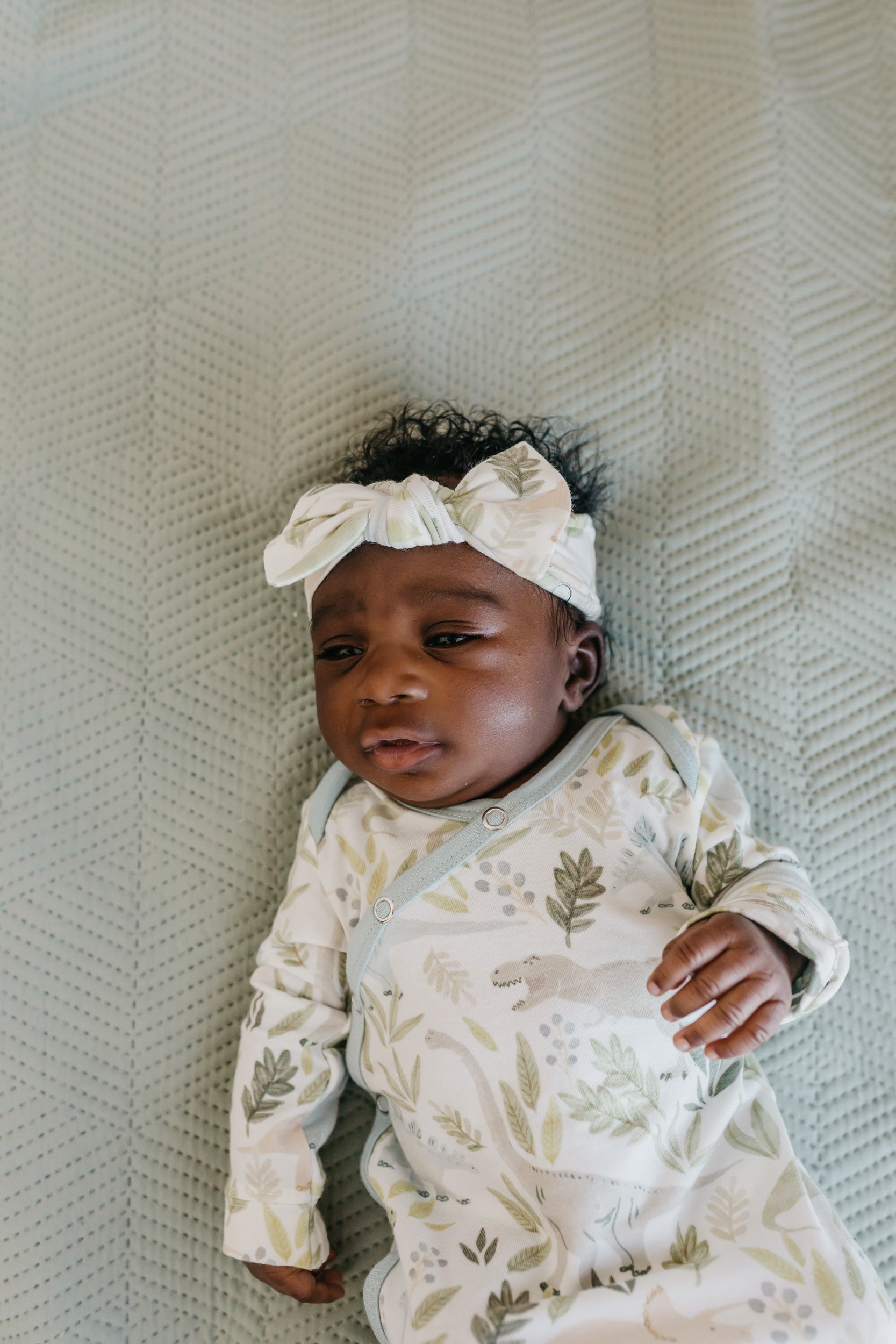 Knit Headband Bow - Rex