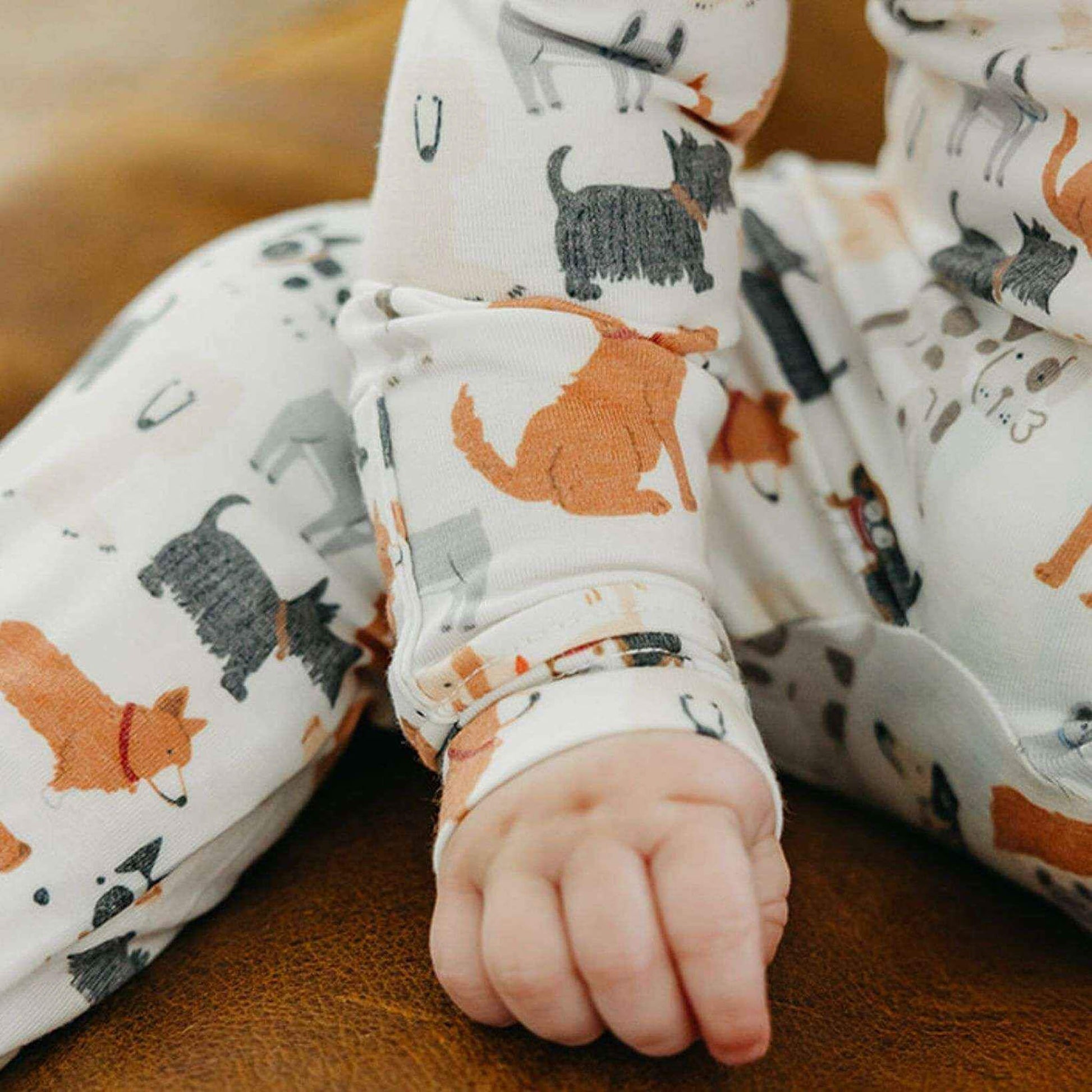 Zip-Up Footie Pajama - Rufus