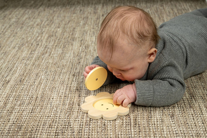 JaBaDaBaDo Play and Learn box 6-12 months
