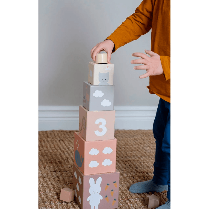JaBaDaBaDo Stacking and Sorting Cubes Nature 1-5