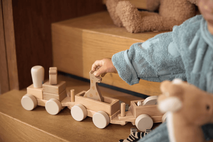 Jollein Wooden Toy Train Jungle Jambo