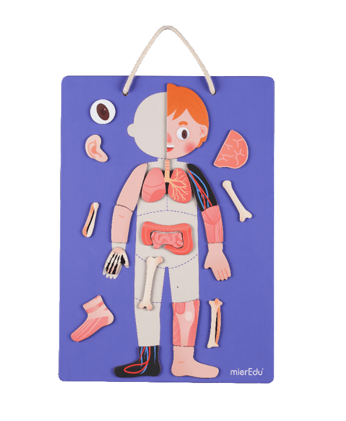 Mieredu Magnetic Kit - My Body + Emotion