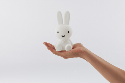 Mr Maria Miffy Bundle of Light