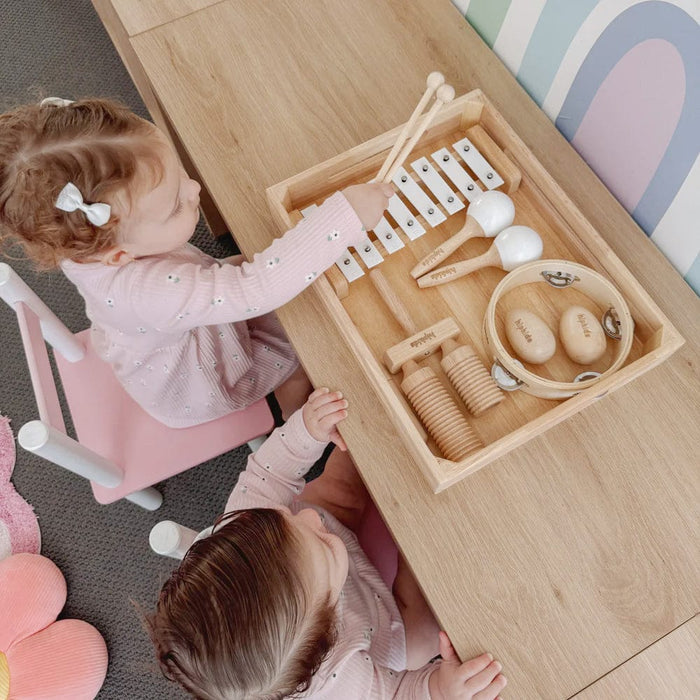 Musical Toy Bundle