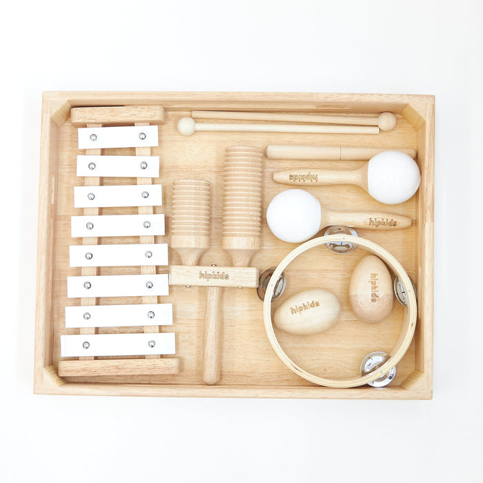 Musical Toy Bundle