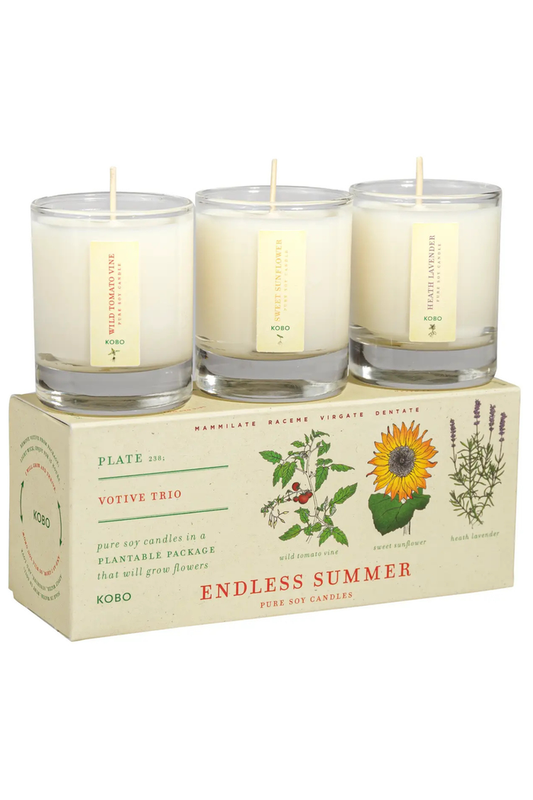 Plant The Box Votive Candle Trio - Endless Summer