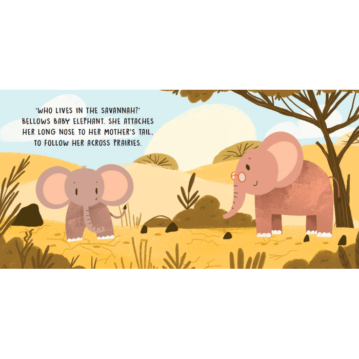 Sassi Board Book Sweet Sounds Stories - The Savannah