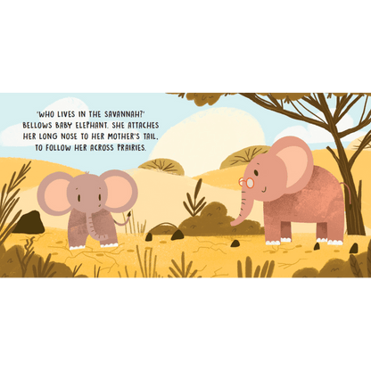 Sassi Board Book Sweet Sounds Stories - The Savannah