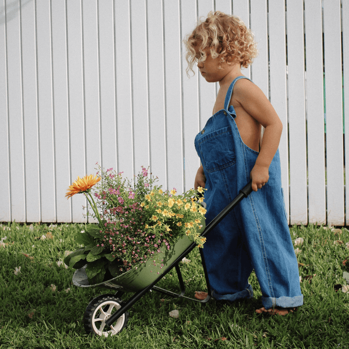 Wheelbarrow Garden Bundle Olive